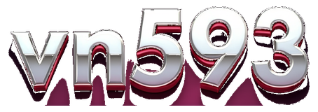 vn593 logo